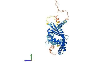 AlphaFold protein structure predicition of Mouse Recombinant Necab3 Protein, UniprotID Q9D6J4