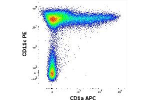 Flow cytometry multicolor surface staining pattern of human stimulated (GM-CSF + IL-4) peripheral blood mononuclear cells stained using anti-human CD1a (HI149) APC antibody (concentration in sample 0. (CD1a anticorps  (APC))