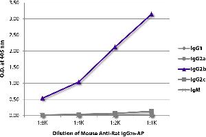 ELISA plate was coated with purified rat IgG1, IgG2a, IgG2b, IgG2c, and IgM. (Souris anti-Rat IgG2b Anticorps (Alkaline Phosphatase (AP)))
