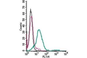 Cell surface detection GPR120/FFAR4 in live intact mouse BV-2 microglia cells: (black line) Cells.