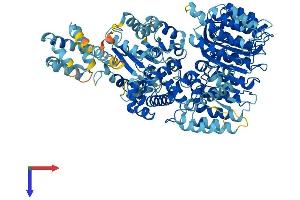 AlphaFold protein structure predicition of Mouse Recombinant Nlrp4e Protein, UniprotID Q66X19