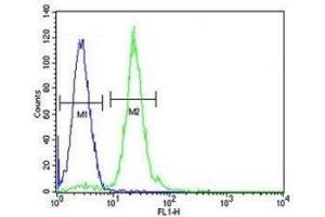 CPT1C antibody flow cytometric analysis of HL-60 cells (green) compared to a negative control (blue).