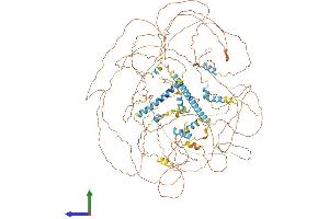AlphaFold protein structure predicition of Human Recombinant NRIP1 Protein, UniprotID P48552