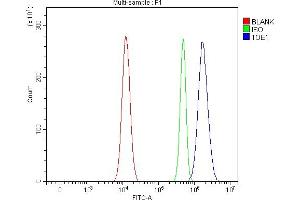 Flow Cytometry analysis of Ramos cells using anti-TOE1 antibody (ABIN7601080). (TOE1 anticorps  (AA 28-501))