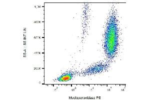Intracellular staining of human peripheral blood with anti-myeloperoxidase (MPO421-8B2) FITC.