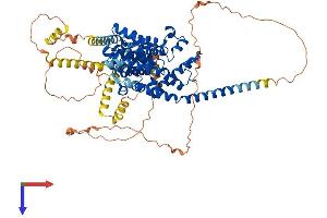 AlphaFold protein structure predicition of Human Recombinant PDE1C Protein, UniprotID Q14123