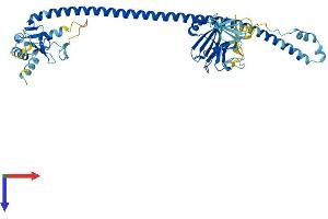 AlphaFold protein structure predicition of Mouse Recombinant Trim17 Protein, UniprotID Q7TPM3