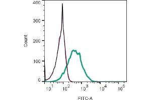 Cell surface detection of mGluR3  by indirect flow cytometry in live intact mouse J774 macrophage cell line: + goat-anti-rabbit-FITC. (Metabotropic Glutamate Receptor 3 anticorps  (Extracellular))
