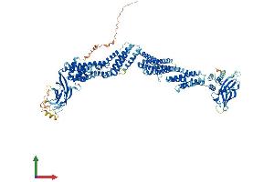 AlphaFold protein structure predicition of Human Recombinant UNC13D Protein, UniprotID Q70J99