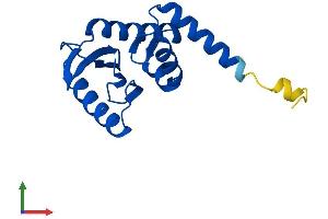AlphaFold protein structure predicition of Human Recombinant AP1S2 Protein, UniprotID P56377