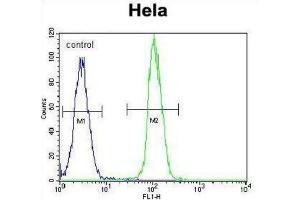 Flow Cytometry (FACS) image for anti-Neurotrophic Tyrosine Kinase, Receptor, Type 1 (NTRK1) (pTyr791) antibody (ABIN3003427)