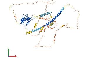 AlphaFold protein structure predicition of Human Recombinant HSF1 Protein, UniprotID Q00613