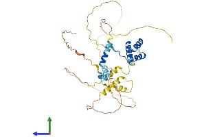 AlphaFold protein structure predicition of Human Recombinant VSX2 Protein, UniprotID P58304