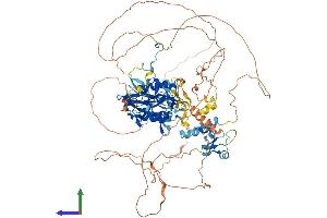 AlphaFold protein structure predicition of Human Recombinant LPIN2 Protein, UniprotID Q92539