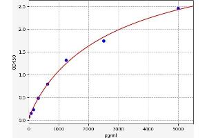 Typical standard curve (DNASE2 Kit ELISA)