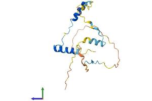 AlphaFold protein structure predicition of Mouse Recombinant Mea1 Protein, UniprotID Q64327