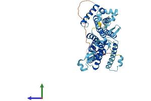 AlphaFold protein structure predicition of Human Recombinant CDS2 Protein, UniprotID O95674