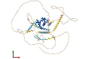AlphaFold protein structure predicition of Human Recombinant ARID3A Protein, UniprotID Q99856