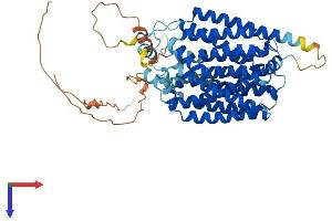 AlphaFold protein structure predicition of Mouse Recombinant Flvcr1 Protein, UniprotID B2RXV4