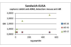 ELISA image for anti-Amyloid beta 1-42 (Abeta 1-42) (AA 37-42) antibody (ABIN1742444) (Abeta 1-42 anticorps  (AA 37-42))