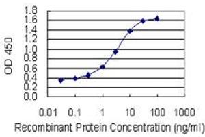 Detection limit for recombinant GST tagged TLK1 is 0.