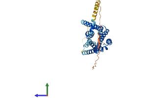 Histamine Receptor H2 (HRH2) (AA 1-359) protein (His tag)