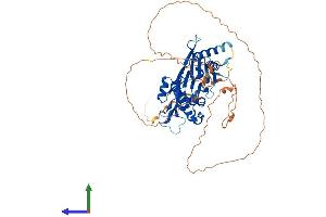 AlphaFold protein structure predicition of Mouse Recombinant Ppm1d Protein, UniprotID Q9QZ67
