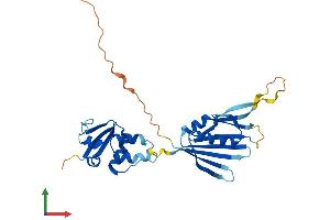 AlphaFold protein structure predicition of Human Recombinant KCNRG Protein, UniprotID Q8N5I3