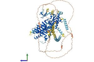 AlphaFold protein structure predicition of Mouse Recombinant Morc1 Protein, UniprotID Q9WVL5