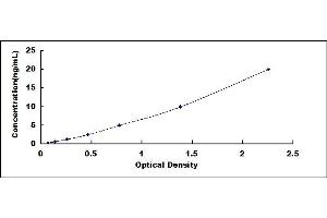 Typical standard curve