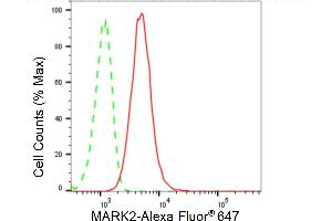 Flow cytometric analysis of MARK2 expression in HT- cells using MARK2 antibody (ABIN7799333), 1:2,000).