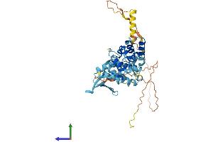 AlphaFold protein structure predicition of Human Recombinant EIF5 Protein, UniprotID P55010