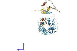 AlphaFold protein structure predicition of Human Recombinant ZNF155 Protein, UniprotID Q12901