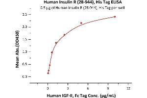 Immobilized Human Insulin R (28-944), His Tag (ABIN6731242,ABIN6809906) at 5 μg/mL (100 μL/well)can bind Human IGF-II, Fc Tag (ABIN2181265,ABIN2181264) with a linear range of 0.