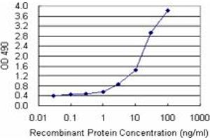Sandwich ELISA detection sensitivity ranging from 10 ng/mL to 100 ng/mL. (STAT1 (Humain) Matched Antibody Pair)