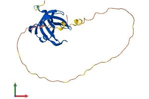 AlphaFold protein structure predicition of Mouse Recombinant Nabp1 Protein, UniprotID Q8BGW5