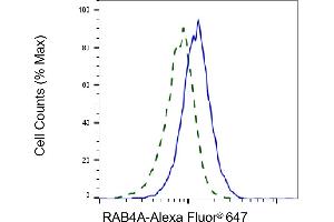 Validation of RAB4A knockdown using flow cytometry. (Recombinant Rab4 anticorps)