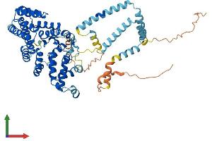 AlphaFold protein structure predicition of Human Recombinant ST7L Protein, UniprotID Q8TDW4