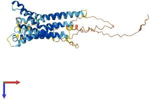 AlphaFold protein structure predicition of Human Recombinant GPR143 Protein, UniprotID P51810