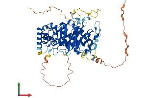 AlphaFold protein structure predicition of Human Recombinant CDADC1 Protein, UniprotID Q9BWV3