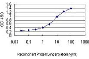 Detection limit for recombinant GST tagged CCNB1 is approximately 0.