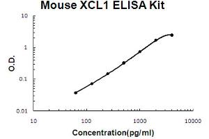 Mouse XCL1/Lymphotactin Accusignal ELISA Kit Mouse XCL1/Lymphotactin AccuSignal ELISA Kit standard curve. (XCL1 Kit ELISA)