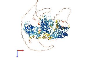 AlphaFold protein structure predicition of Human Recombinant HLTF Protein, UniprotID Q14527
