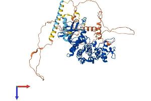 AlphaFold protein structure predicition of Human Recombinant SRPK1 Protein, UniprotID Q96SB4