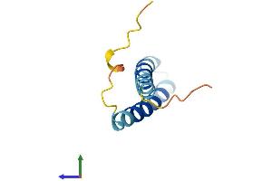AlphaFold protein structure predicition of Human Recombinant SS18L2 Protein, UniprotID Q9UHA2