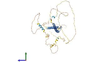AlphaFold protein structure predicition of Mouse Recombinant Mycn Protein, UniprotID P03966