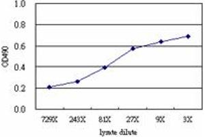 GART (Human) Matched Antibody Pair