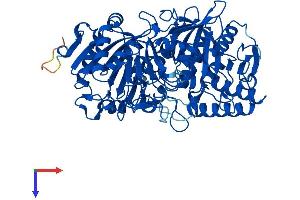 AlphaFold protein structure predicition of Human Recombinant PCK1 Protein, UniprotID P35558