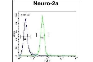 RT34 Antibody (N-term) (ABIN654944 and ABIN2844585) flow cytometric analysis of Neuro-2a cells (right histogram) compared to a negative control cell (left histogram). (MRPS34 anticorps  (N-Term))