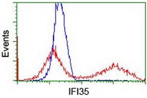 HEK293T cells transfected with either RC200929 overexpress plasmid (Red) or empty vector control plasmid (Blue) were immunostained by anti-IFI35 antibody (ABIN2454902), and then analyzed by flow cytometry. (IFI35 anticorps)